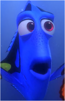 Dory