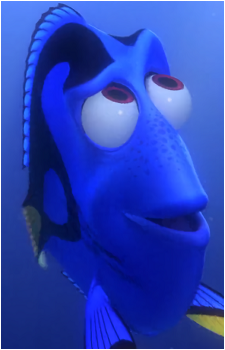 Dory
