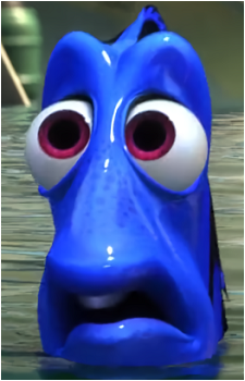 Dory