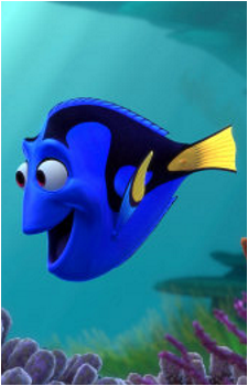 Dory