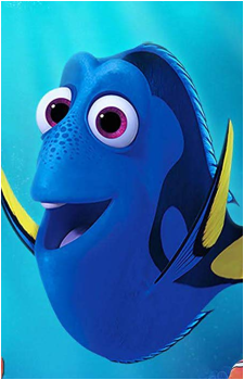 Dory