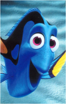 Dory