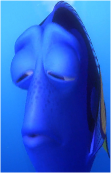Dory