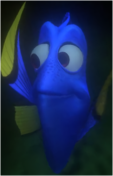 Dory