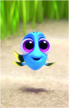 Dory
