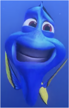 Dory