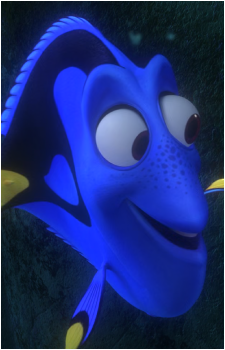 Dory