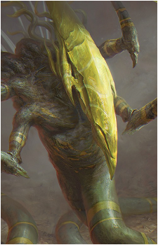 Image 31