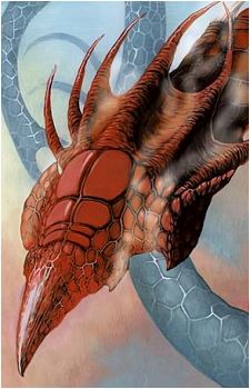 Image 37