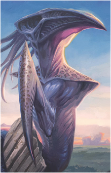 Image 24