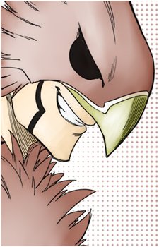 Bird's image