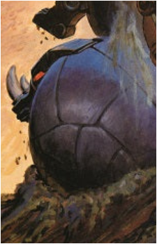 Rhinorb's image
