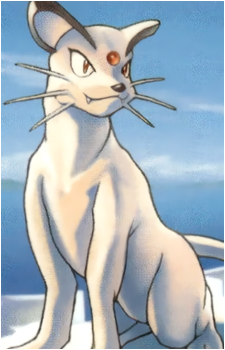 Meowth (Species)