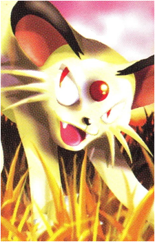 Meowth (Species)