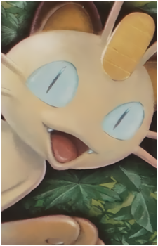 Meowth (Species)