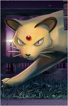 Meowth (Species)