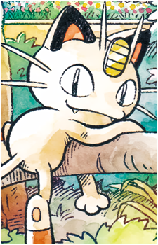 Meowth (Species)