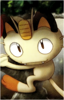 Meowth (Species)