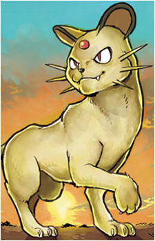 Meowth (Species)