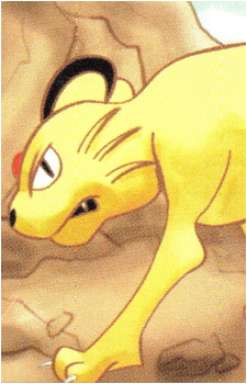 Meowth (Species)