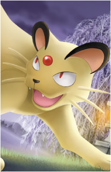 Meowth (Species)