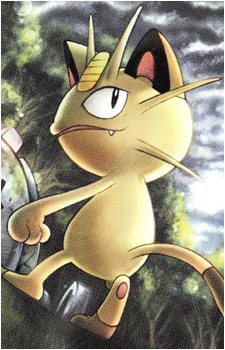 Meowth (Species)