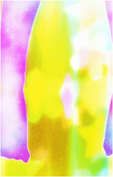 Image 31