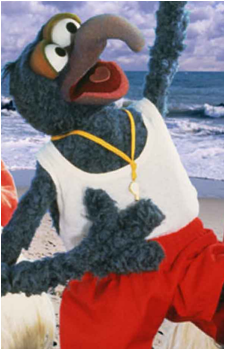 Gonzo