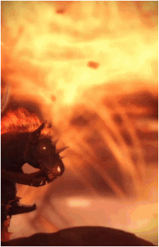 Archaon the Everchosen