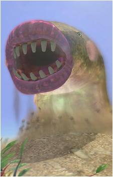 Sandbelching Meerslug's image