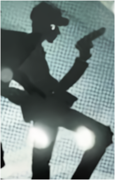 Night Flyer's image
