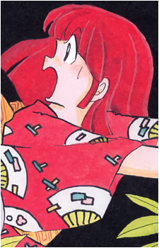 Image 30