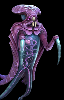 Warper's image