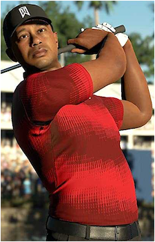 Tiger Woods's image