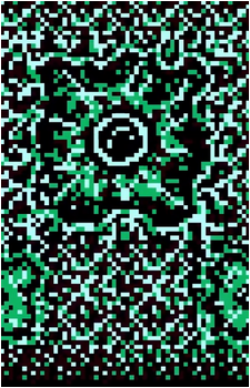 Amoeba
