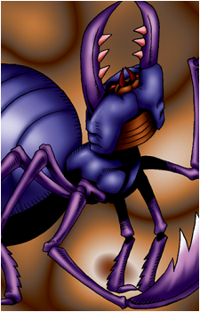 Alinsection's image