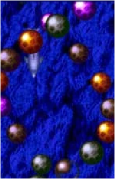 The Asterite