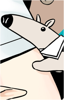 Anteater Girl