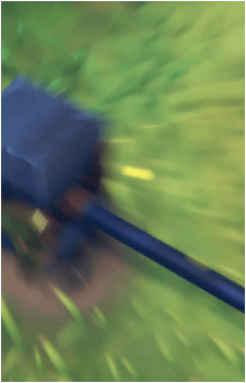 Image 30