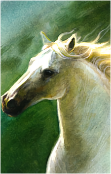 Shadowfax