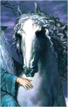 Shadowfax