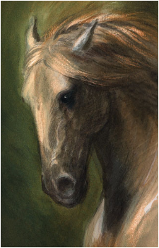 Shadowfax's image