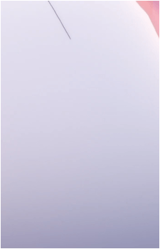 Image 29