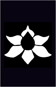 DIE-FOR-YOU's image