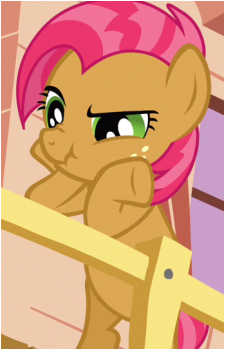 Babs Seed