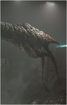 Image 5 Image 5