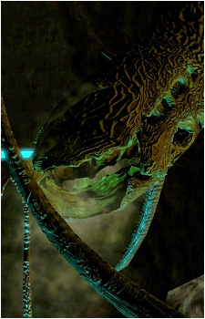 Image 2 Image 2