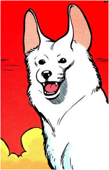 Rex the Wonder Dog's image