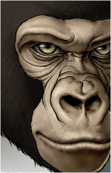 Gorilla Gorilla Gorilla {AEAG}'s image