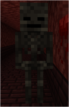 Wither Skeleton's image
